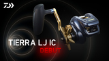 ティエラ LJ IC (リール)｜DAIWA