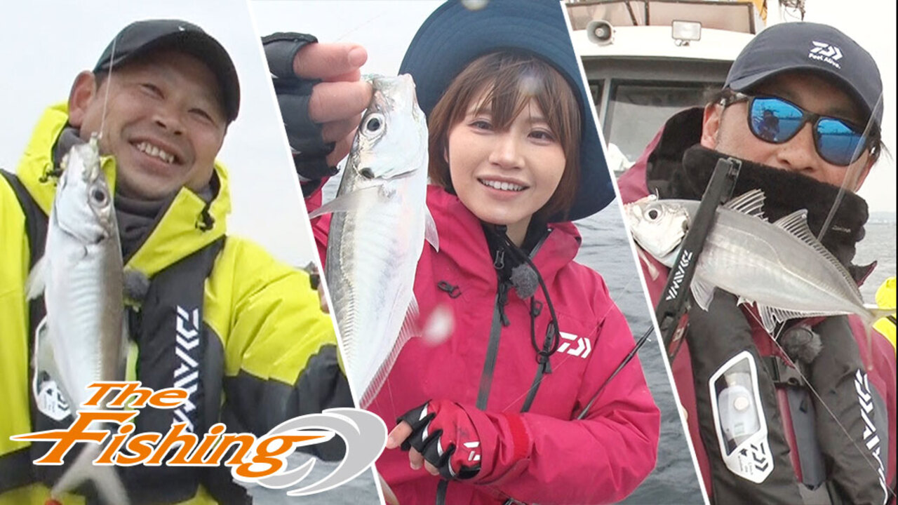 The Fishing 誰でも手軽に大爆釣 東京湾バチコンアジング Daiwa Channel