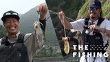 DAIWA - 釣り　トラウト　エギングセット　各種 DAIWA[鱒ノトライセット]エリアトラウト初心者向けルアーはこれ