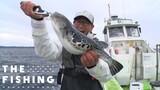 船釣り系 船｜釣り情報｜DAIWA