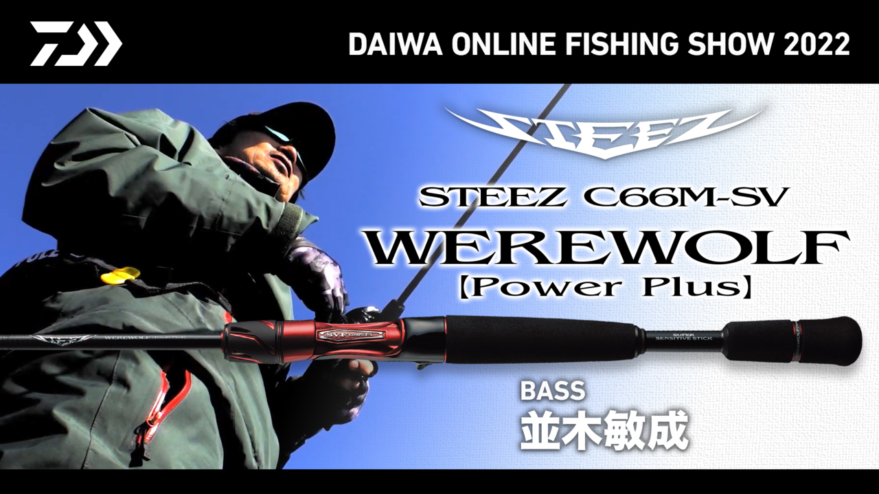 DAIWA ： スティーズ C66M-SV【WEREWOLF（Power Plus）】 - Web site