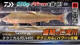 銀影エア A(ロッド)｜DAIWA