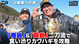 アドミラ A(リール)｜DAIWA