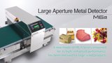 Large Aperture Metal Detector
