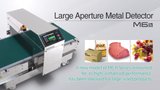 Large Aperture Metal Detector